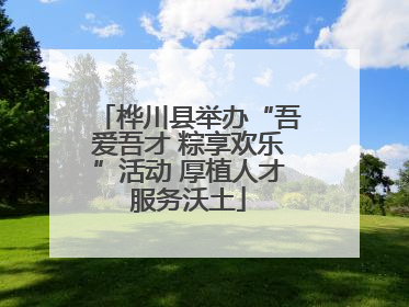 桦川县举办“吾爱吾才 粽享欢乐”活动 厚植人才服务沃土