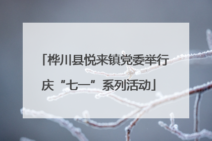 桦川县悦来镇党委举行庆“七一”系列活动