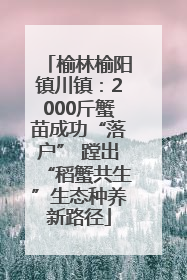 榆林榆阳镇川镇：2000斤蟹苗成功“落户” 蹚出“稻蟹共生”生态种养新路径