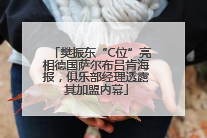 樊振东“C位”亮相德国萨尔布吕肯海报,俱乐部经理透露其加盟内幕