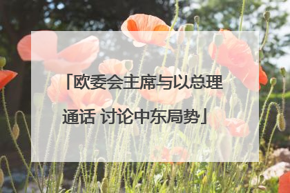 欧委会主席与以总理通话 讨论中东局势