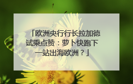 欧洲央行行长拉加德试乘点赞：萝卜快跑下一站出海欧洲？