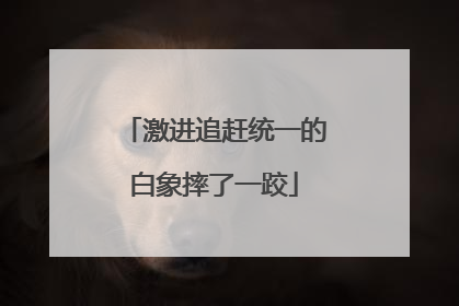 激进追赶统一的白象摔了一跤