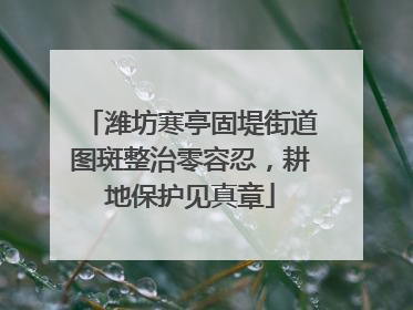 潍坊寒亭固堤街道图斑整治零容忍，耕地保护见真章