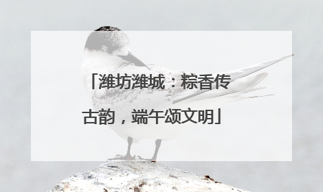 潍坊潍城：粽香传古韵，端午颂文明