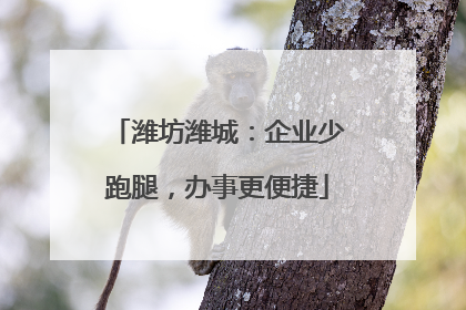 潍坊潍城：企业少跑腿，办事更便捷