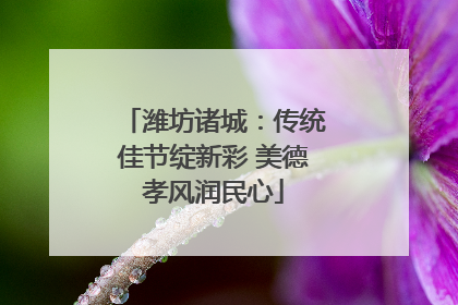 潍坊诸城：传统佳节绽新彩 美德孝风润民心