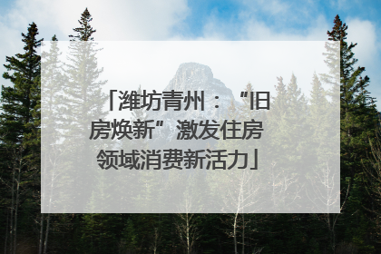 潍坊青州：“旧房焕新”激发住房领域消费新活力