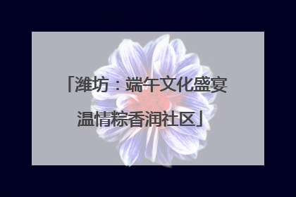 潍坊：端午文化盛宴 温情粽香润社区