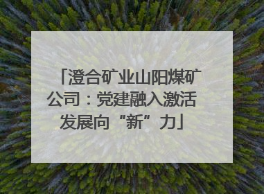 澄合矿业山阳煤矿公司：党建融入激活发展向“新”力