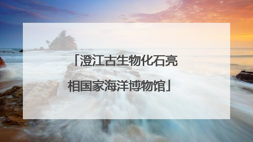 澄江古生物化石亮相国家海洋博物馆