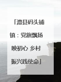 澧县码头铺镇：党旗飘扬映初心 乡村振兴践使命