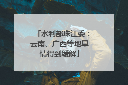 水利部珠江委：云南、广西等地旱情得到缓解