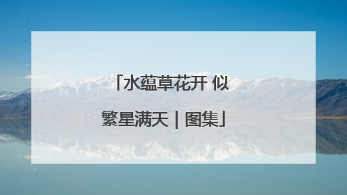 水蕴草花开 似繁星满天｜图集