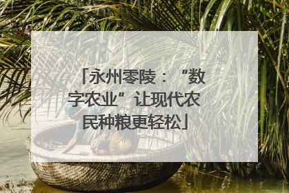 永州零陵：“数字农业”让现代农民种粮更轻松