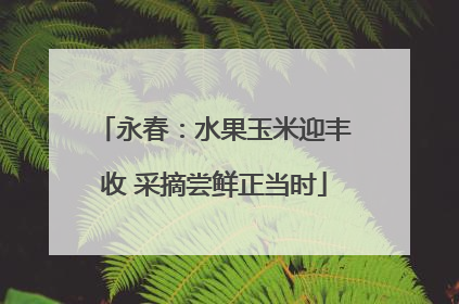 永春：水果玉米迎丰收 采摘尝鲜正当时
