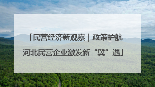 民营经济新观察｜政策护航 河北民营企业激发新“冀”遇