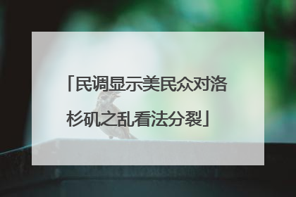 民调显示美民众对洛杉矶之乱看法分裂