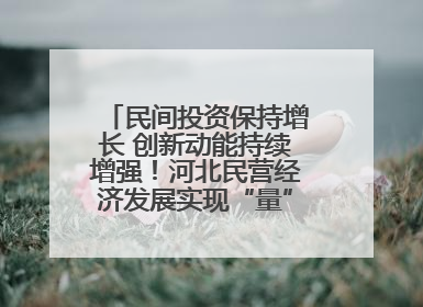 民间投资保持增长 创新动能持续增强！河北民营经济发展实现“量”“质”双提升