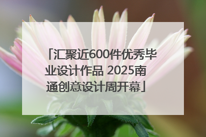 汇聚近600件优秀毕业设计作品 2025南通创意设计周开幕