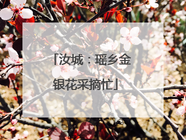 汝城：瑶乡金银花采摘忙