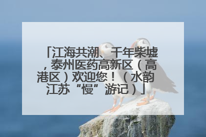 江海共潮、千年柴墟，泰州医药高新区（高港区）欢迎您！（水韵江苏“慢”游记）
