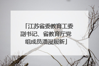 江苏省委教育工委副书记、省教育厅党组成员潘漫履新