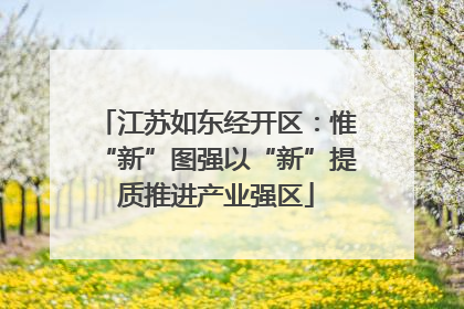 江苏如东经开区：惟“新”图强以“新”提质推进产业强区