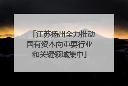 江苏扬州全力推动国有资本向重要行业和关键领域集中