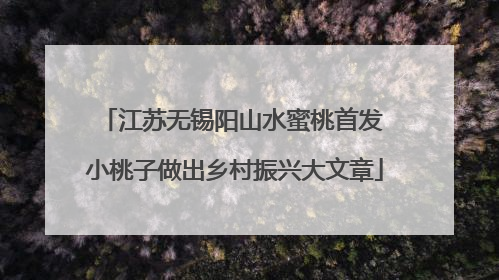 江苏无锡阳山水蜜桃首发 小桃子做出乡村振兴大文章