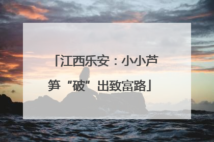 江西乐安：小小芦笋“破”出致富路
