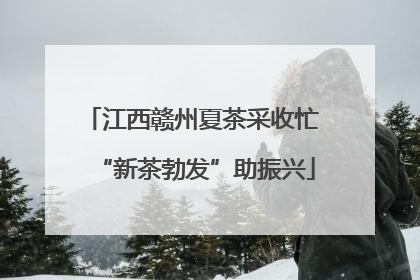 江西赣州夏茶采收忙 “新茶勃发”助振兴