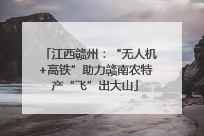 江西赣州：“无人机+高铁”助力赣南农特产“飞”出大山