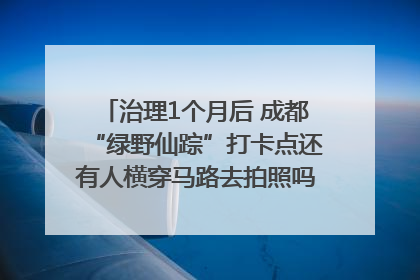 治理1个月后 成都“绿野仙踪”打卡点还有人横穿马路去拍照吗？｜民情瞭望