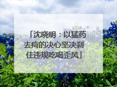 沈晓明：以猛药去疴的决心坚决刹住违规吃喝歪风