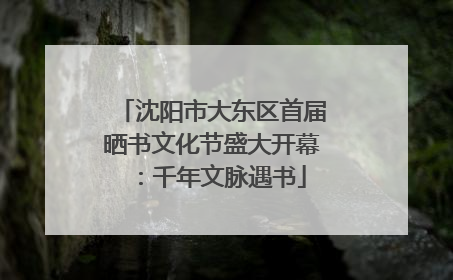 沈阳市大东区首届晒书文化节盛大开幕：千年文脉遇书