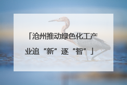 沧州推动绿色化工产业追“新”逐“智”