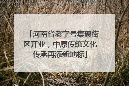 河南省老字号集聚街区开业，中原传统文化传承再添新地标