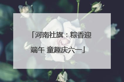 河南社旗：粽香迎端午 童趣庆六一