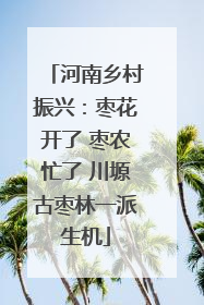 河南乡村振兴：枣花开了 枣农忙了 川塬古枣林一派生机