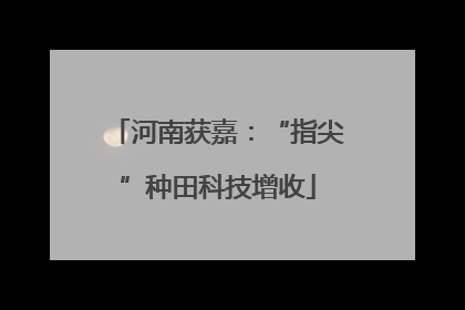河南获嘉：“指尖”种田科技增收