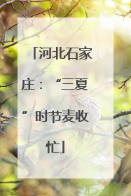 河北石家庄：“三夏”时节麦收忙