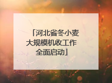 河北省冬小麦大规模机收工作全面启动