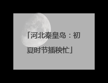 河北秦皇岛：初夏时节插秧忙