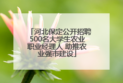 河北保定公开招聘500名大学生农业职业经理人 助推农业强市建设