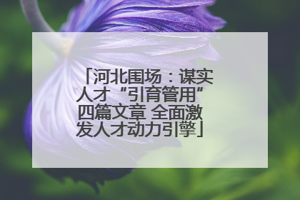 河北围场：谋实人才“引育管用”四篇文章 全面激发人才动力引擎
