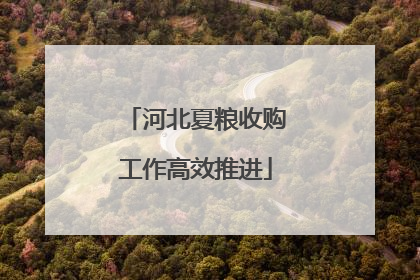 河北夏粮收购工作高效推进
