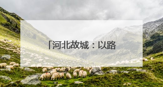 河北故城：以路域整治推动城乡人居环境提升