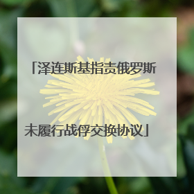 泽连斯基指责俄罗斯未履行战俘交换协议