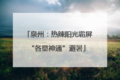 泉州：热辣阳光霸屏 “各显神通”避暑